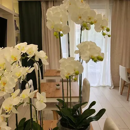 Boutique Bacvice 4*