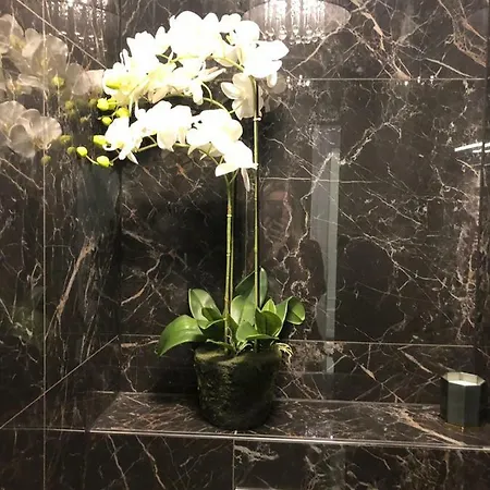 Hotel Boutique Bacvice Split