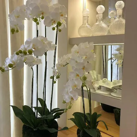 Hotel Boutique Bacvice