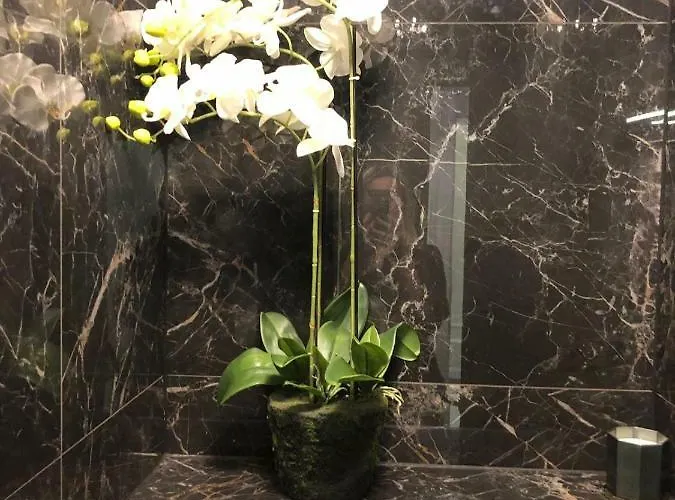 Hotel Boutique Bacvice Split